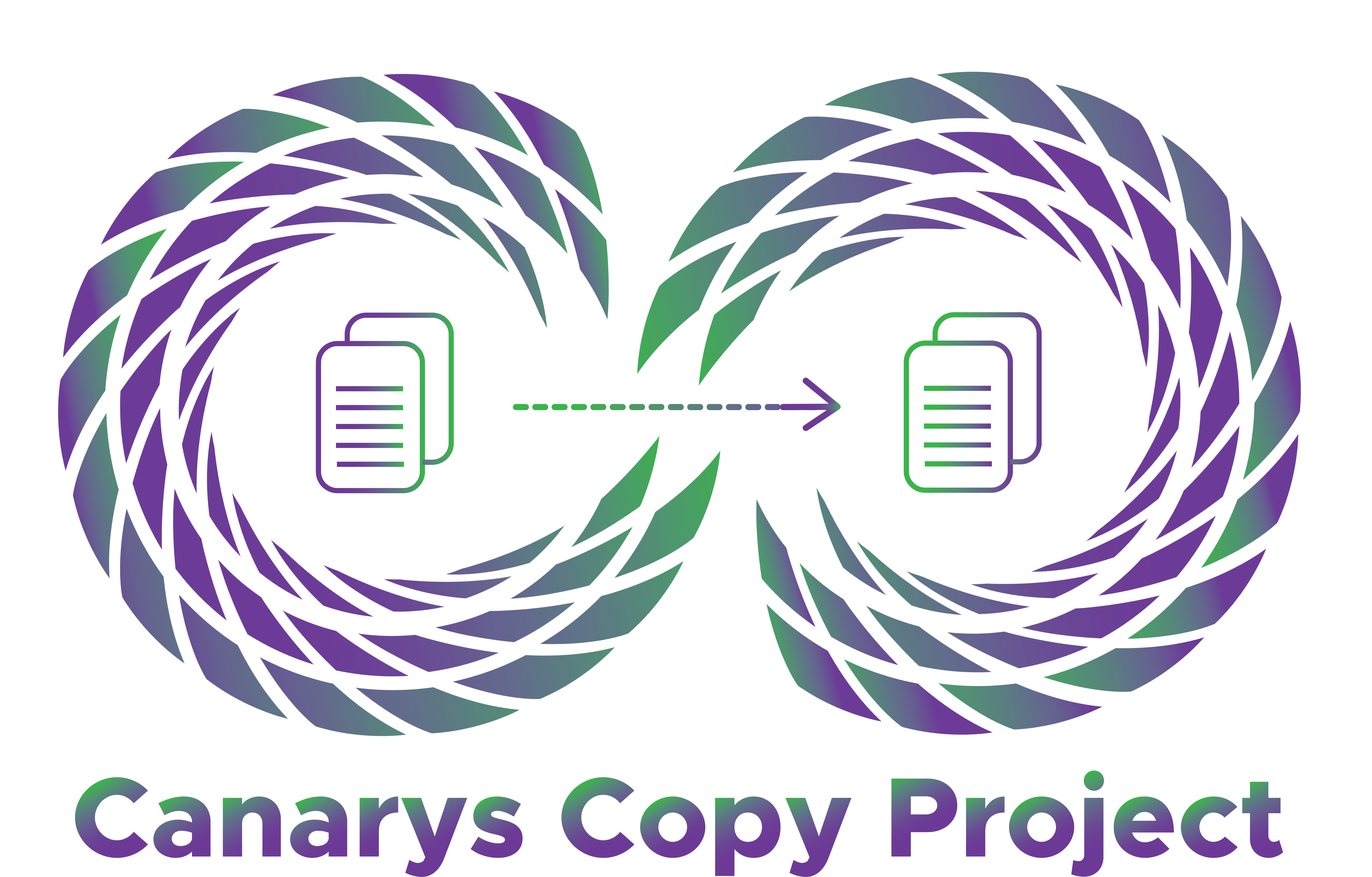 Canarys Copy Project